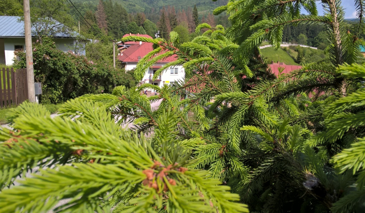 Zobraziť fotografiu